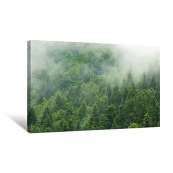 Image of Misty  Forest Canvas Print