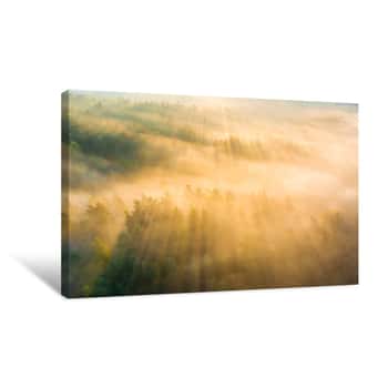Image of Misty Morning Forest Canvas Print