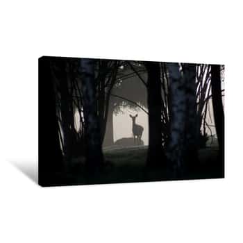 Image of Deer In Thick Fog In A Dark Spooky Eerie And Creepy Forest  Foggy Forest Canvas Print