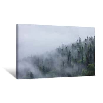 Image of After  Heavy Rain The Mountain Forest Covered The Cloud  Background For Design Canvas Print