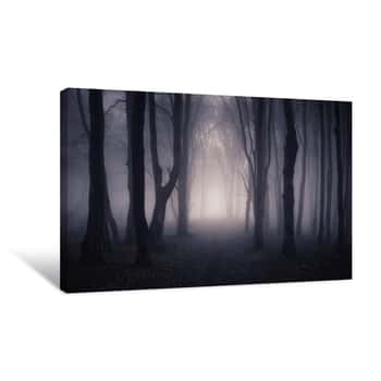 Image of Path Through A Dark Forest At Night Canvas Print