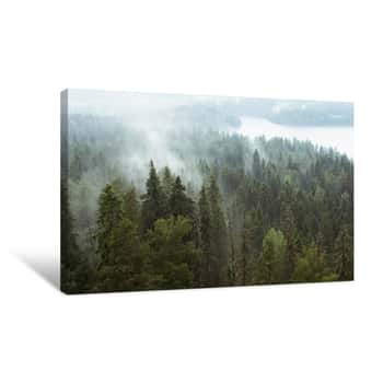 Image of Foggy Forest Canvas Print
