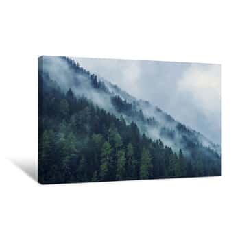 Image of Foggy Forest In The Morning Canvas Print