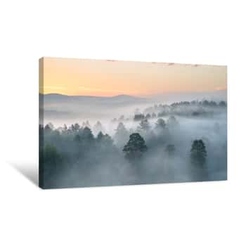 Image of Misty Dawn In The National Park Deer Streams Canvas Print