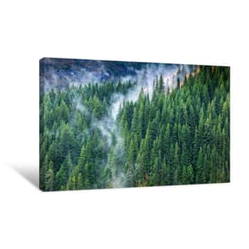 Image of Aerial Of Pine Forest With Flowing Fog Canvas Print