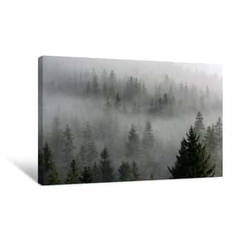 Image of Fog Above Pine Forests  Detail Of Dense Pine Forest In Morning Mist Canvas Print