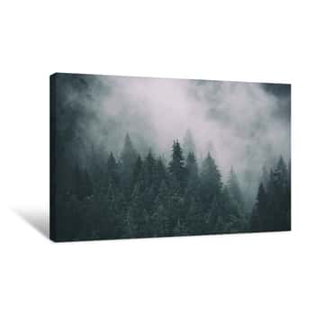 Image of Misty Landscape With Fir Forest In Hipster Vintage Retro Style, Natural Background Canvas Print