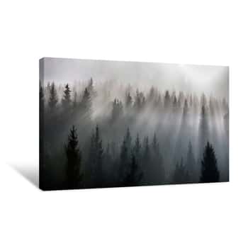 Image of Misty Morning View In Wet Mountain Area  Pine Forests In November Canvas Print