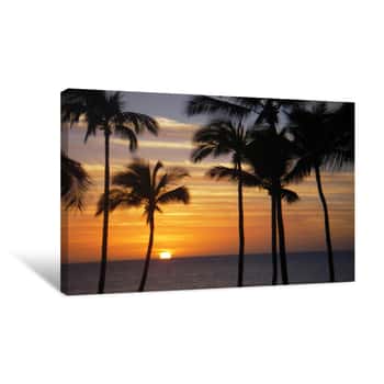 Image of Hawaii Sunset And Coconut Palms Canvas Print