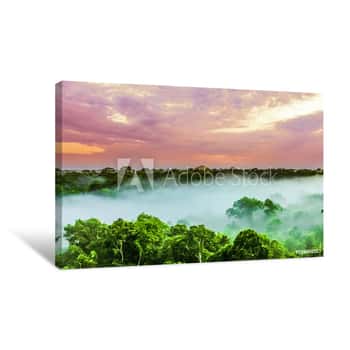 Image of Sunset Over The Trees In The Brazilian Rainforest Of Amazonas Canvas Print