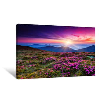 Image of Flower Canvas Print