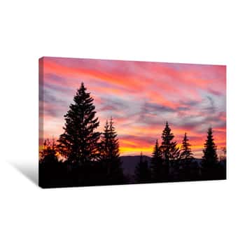 Image of Majestic Sky, Pink Cloud Against The Silhouettes Of Pine Trees In The Twilight Time  Carpathians, Ukraine, Europe  Discover The World Of Beauty Canvas Print
