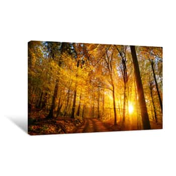 Image of Forest Sunset In Autumn Canvas Print
