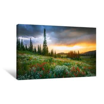 Image of Golden Sunset With Wildflowers In The Colorado Rockies, USA Canvas Print
