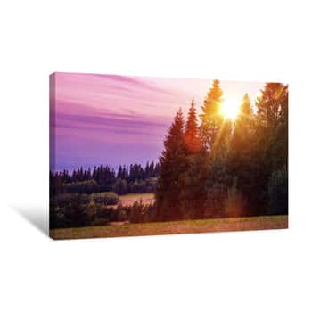 Image of Scenic Forest Edge Sunset Canvas Print