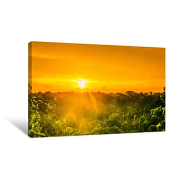 Image of Sunset Over The Trees In The Brazilian Rainforest Of Amazonas Canvas Print
