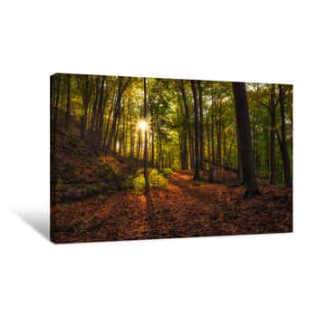 Image of Autumn Sunset In The Forest Canvas Print