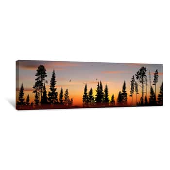 Image of Panorama With High Black Trees In Forest At Sunset Canvas Print
