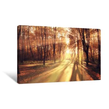 Image of Light Rays Fall Landscape Trees Canvas Print