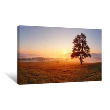 Image of Alone Tree On Meadow At Sunset With Sun And Mist - Panorama Canvas Print
