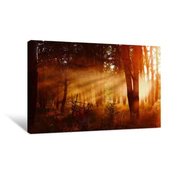Image of Sunbeams Among The Old Forest Canvas Print