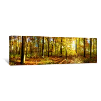 Image of Wald Panorama Mit Sonnenstrahlen Canvas Print
