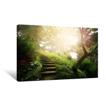 Image of Art Beautiful Peaceful Landscape; Path In The Old Park Canvas Print