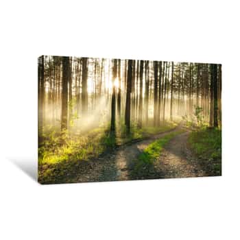 Image of Sunset In The Woods Canvas Print
