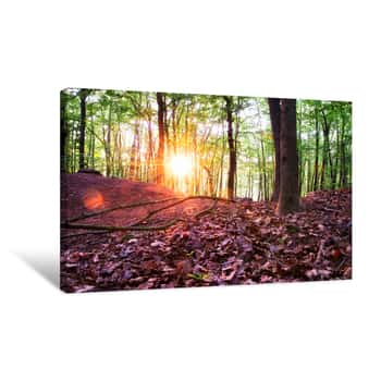 Image of Sunset In The Forest Canvas Print