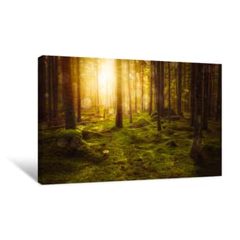 Image of Green Mossy Fairytale Forest With Beautiful Light From The Sun Shining Between The Trees In The Mist  Mysterious Cozy Atmosphere Canvas Print