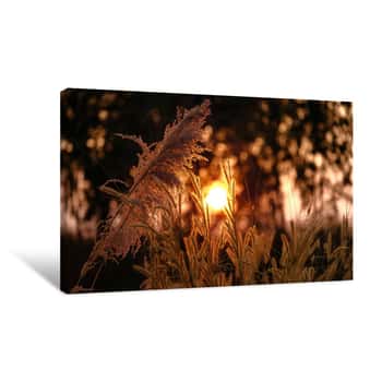 Image of Sunset In The Forest Canvas Print