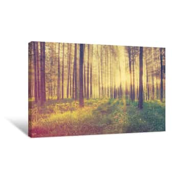 Image of Beautiful Sunset, Retro Filtered, Instagram Style Canvas Print