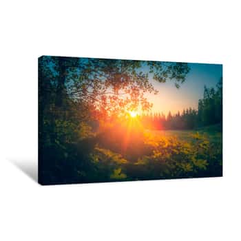 Image of Summer Night Sunset View From Sotkamo, Finland Canvas Print