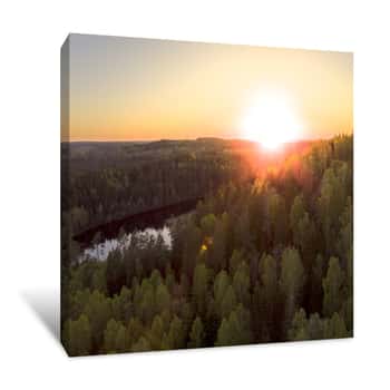 Image of Forest Sunset Canvas Print