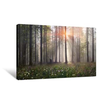 Image of Magic Carpathian Forest At Dawn Canvas Print
