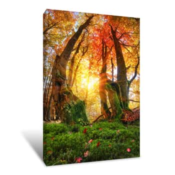 Image of Gold Beech Forest Canvas Print