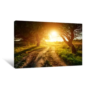 Image of Rural Road At Sunset In The Woods Canvas Print