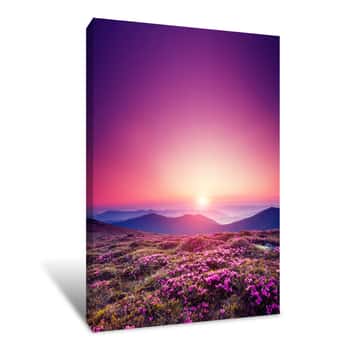 Image of Magic Pink Rhododendron Canvas Print
