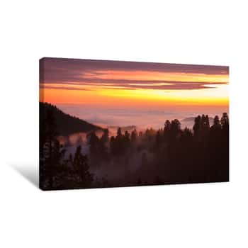 Image of Scenic View Of Silhouette Trees Against Orange Sky Canvas Print