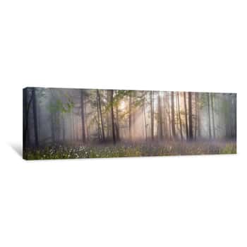 Image of Magic Carpathian Forest At Dawn Canvas Print