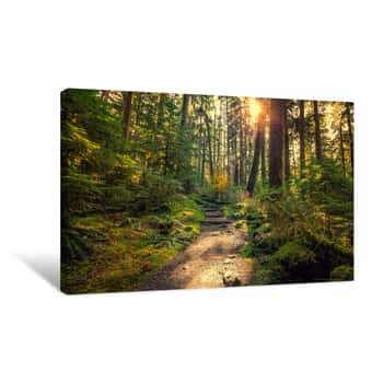 Image of Olympic National Forest, Olympic National Park Canvas Print