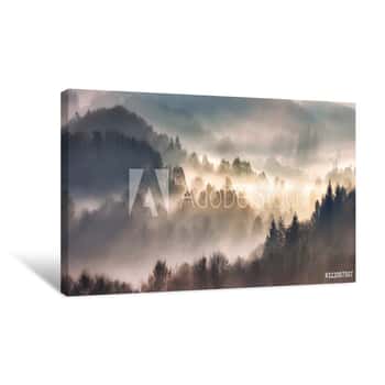 Image of Mist In Forest With Sunbeam Rays, Woods Landscape Canvas Print