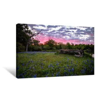 Image of Texan Sunrise Canvas Print