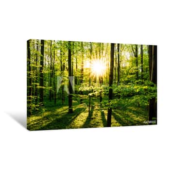 Image of Sonnenuntergang Im Wald Canvas Print