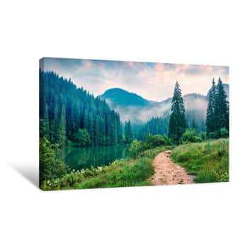 Image of Misty Morning Scene Of Lacu Rosu Lake  Foggy Summer Sunrise In Harghita County, Romania, Europe  Beauty Of Nature Concept Background Canvas Print