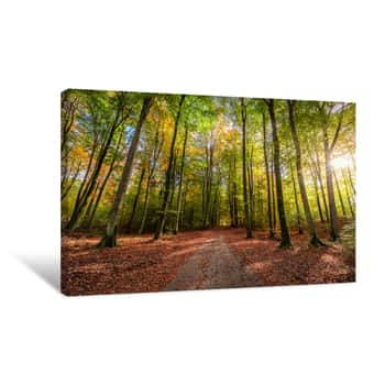 Image of Sunbeam In The Autumn Forest At Sunrise, Poland Canvas Print