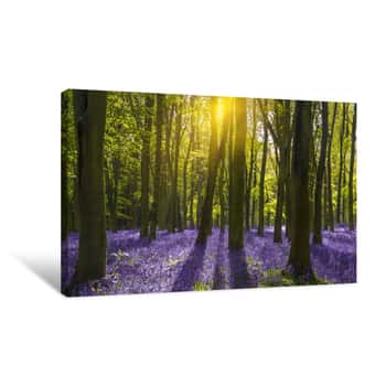 Image of Sunlight Casts Shadows Across Bluebells In A Wood Canvas Print