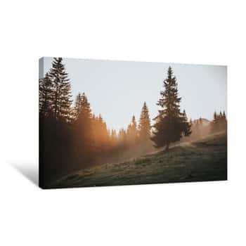 Image of Beautiful Autumn Scenic Panorama Of Foggy Carpathian Mountains At Early Morning  Spruce Forest, Covered With Fog On Mountain Canvas Print