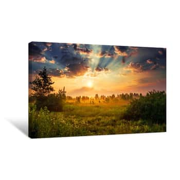 Image of Landscape, Sunny Dawn In A Field Canvas Print