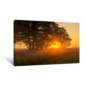 Image of Beautiful Misty Morning In The Meadow Canvas Print